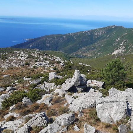 Casa Vacanze Il Pastore Tedesco Portoferraio Exteriér fotografie