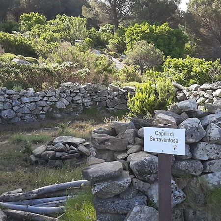 Casa Vacanze Il Pastore Tedesco Portoferraio Exteriér fotografie