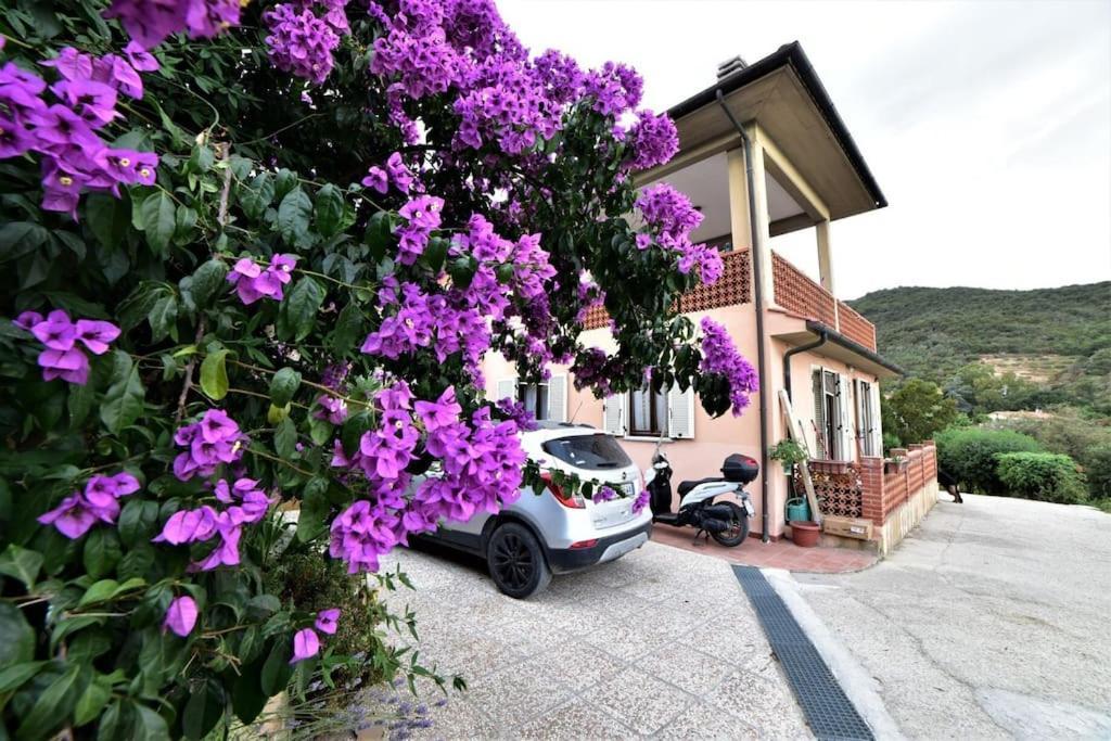 Casa Vacanze Il Pastore Tedesco Portoferraio Exteriér fotografie