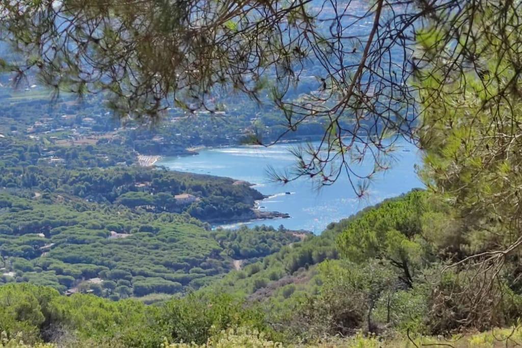 Casa Vacanze Il Pastore Tedesco Portoferraio Exteriér fotografie