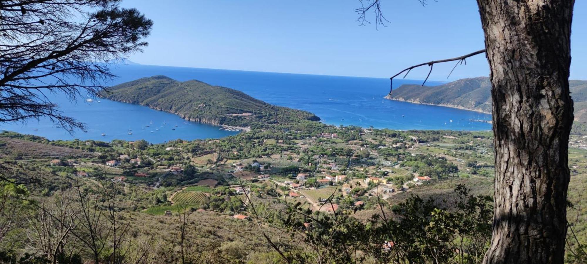 Casa Vacanze Il Pastore Tedesco Portoferraio Exteriér fotografie