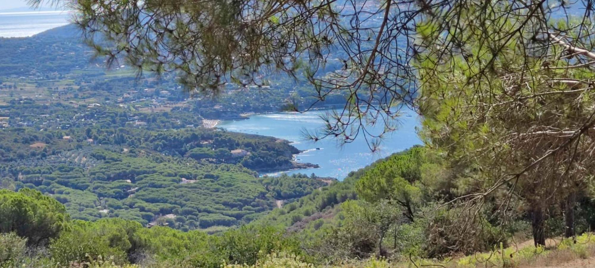 Casa Vacanze Il Pastore Tedesco Portoferraio Exteriér fotografie