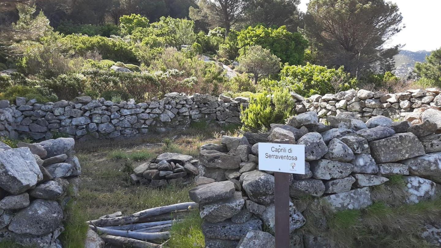Casa Vacanze Il Pastore Tedesco Portoferraio Exteriér fotografie